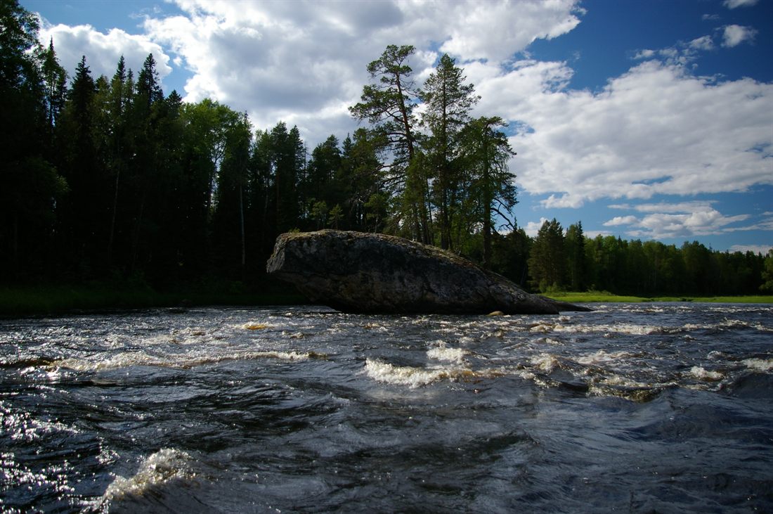 Ходовая рыбалка на хариуса