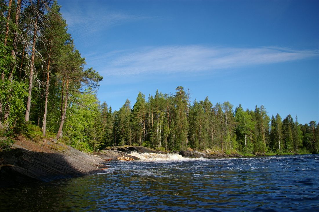Река в тайге